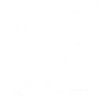 HelloKiwi